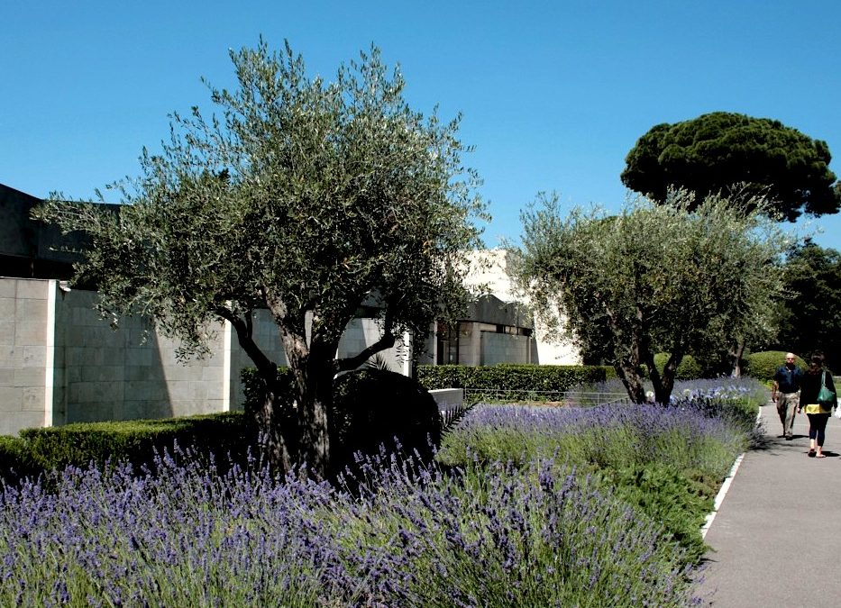 Musée Chagall : Parcours numérique