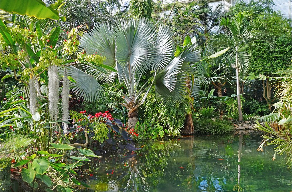 Vacances de Pâques avec le Parc Phoenix