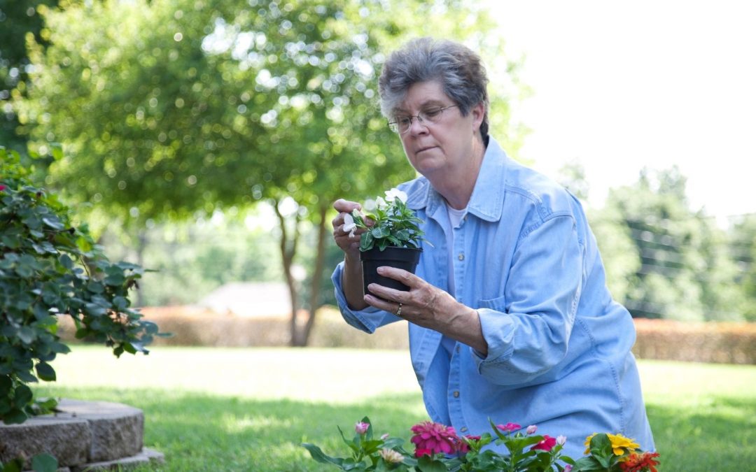 Seniors : Profitez du Printemps !