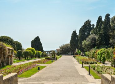 Histoire des fleurs, arbres et jardins à Cimiez