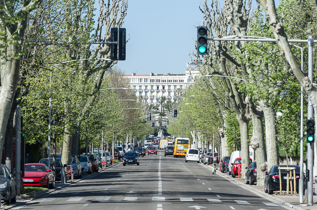 Cimiez Boulevard